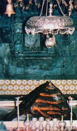 Kedarnath - Religious Wallpaper, Hindu God Pictures, Free HD Hindu God