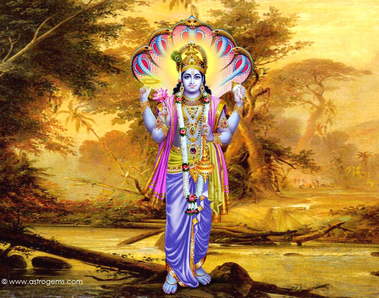 god-vishnu-beautiful-pictures-images-wallpapers-religious-wallpaper